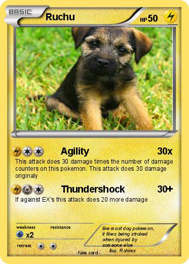 Pokemon Ruchu