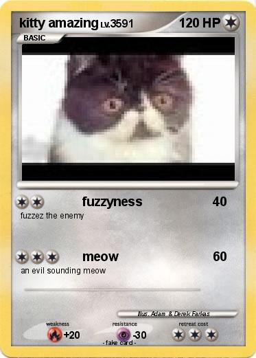 Pokemon kitty amazing