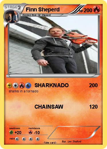 Pokemon Finn Sheperd