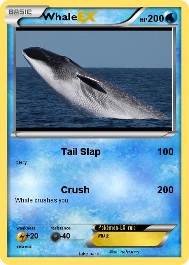 Pokemon Whale