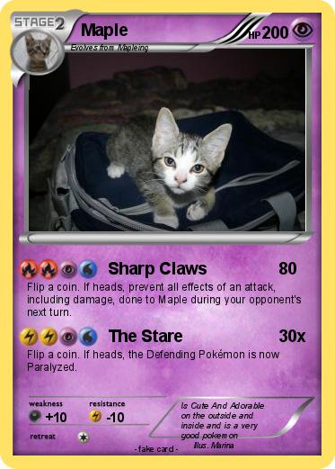 Pokemon Maple