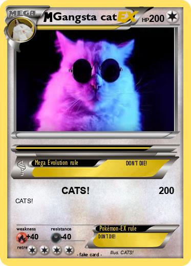 Pokemon Gangsta cat