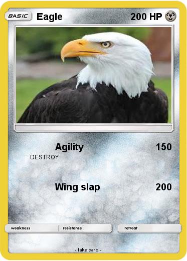 Pokemon Eagle