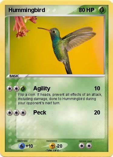 Pokemon Hummingbird