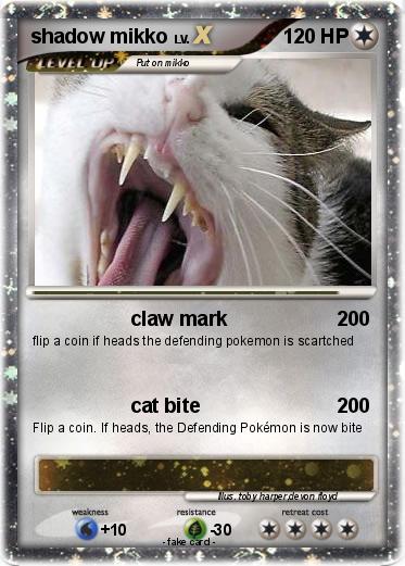 Pokemon shadow mikko