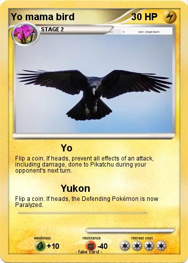 Pokemon Yo mama bird