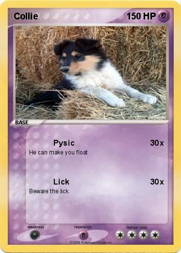 Pokemon Collie