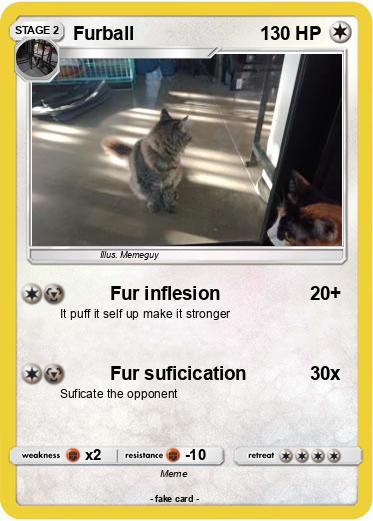 Pokemon Furball