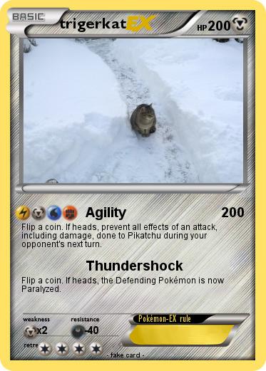 Pokemon trigerkat