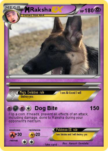 Pokemon Raksha