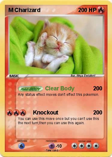 Pokemon M Charizard