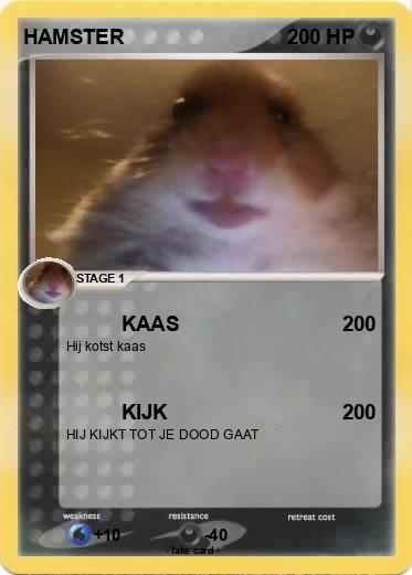 Pokemon HAMSTER