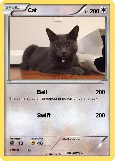 Pokemon Cat