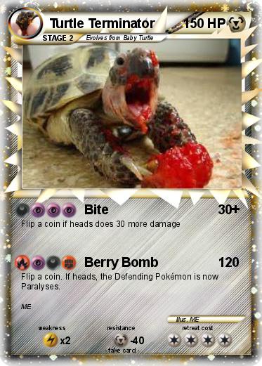 Pokemon Turtle Terminator
