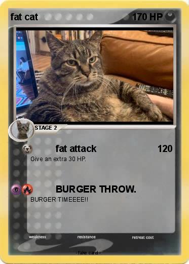 Pokemon fat cat