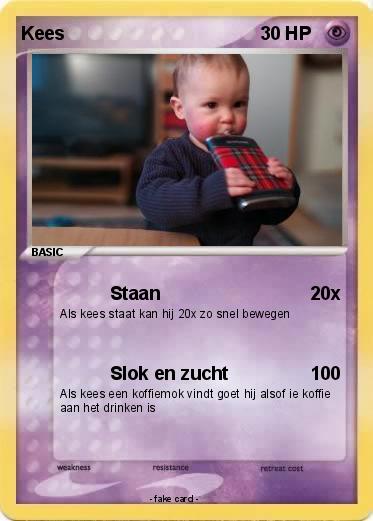 Pokemon Kees