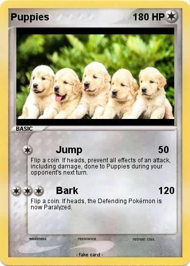 Pokemon Puppies