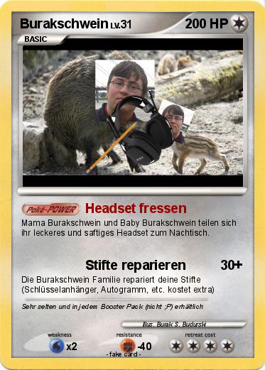 Pokemon Burakschwein