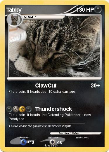 Pokemon Tabby