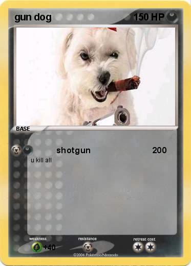 Pokemon gun dog