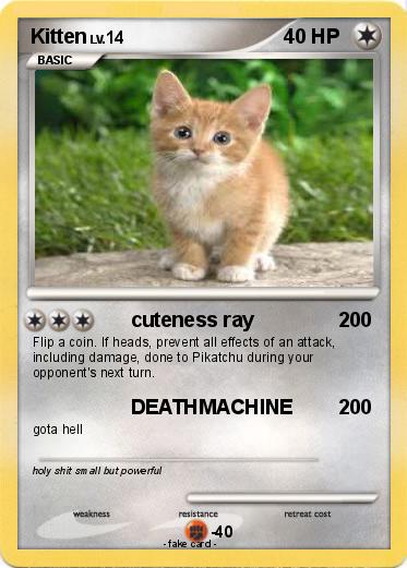 Pokemon Kitten