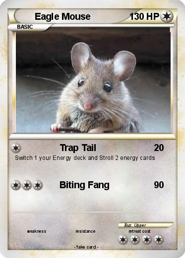 Pokemon Eagle Mouse