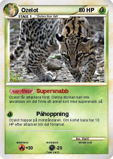 Pokemon Ozelot
