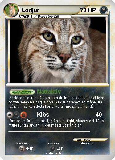 Pokemon Lodjur
