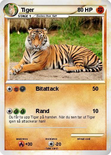 Pokemon Tiger