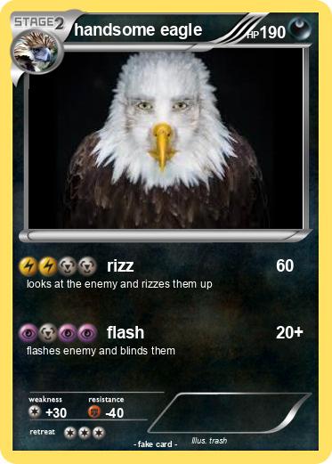 Pokemon handsome eagle