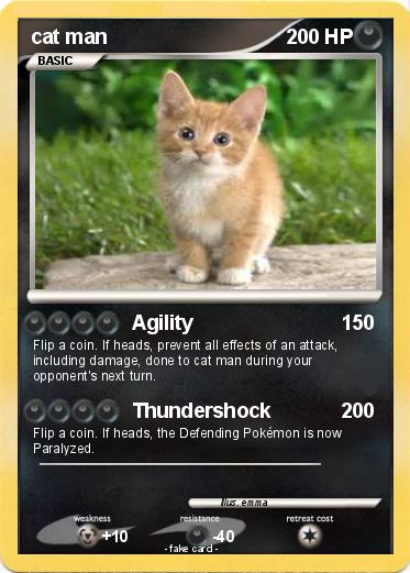 Pokemon cat man