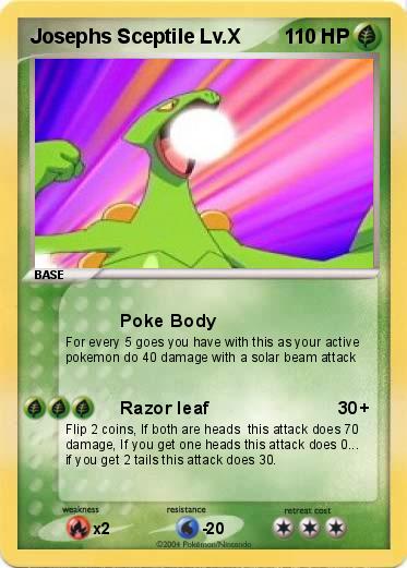 Pokemon Josephs Sceptile Lv.X