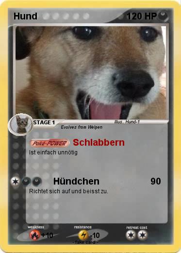 Pokemon Hund
