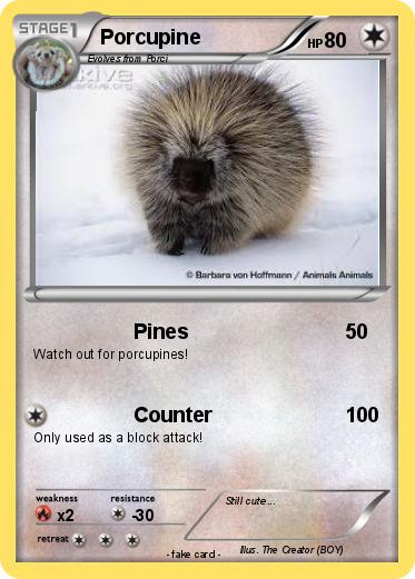 Pokemon Porcupine