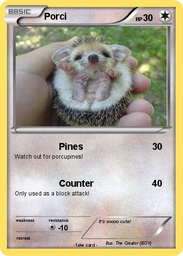 Pokemon Porci