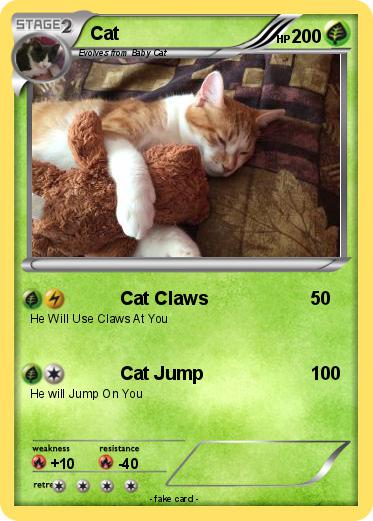Pokemon Cat