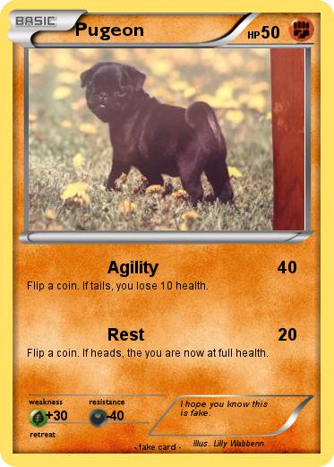 Pokemon Pugeon