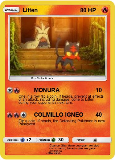 Pokemon Litten