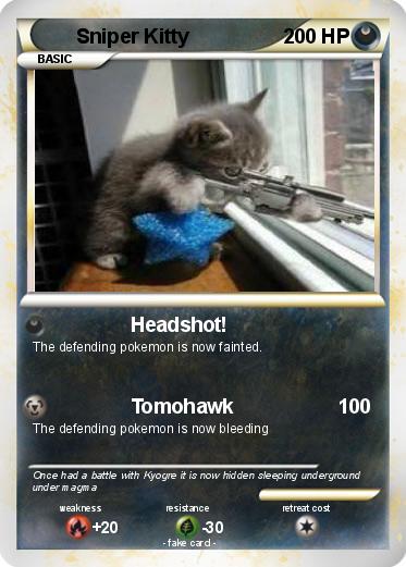 Pokemon Sniper Kitty