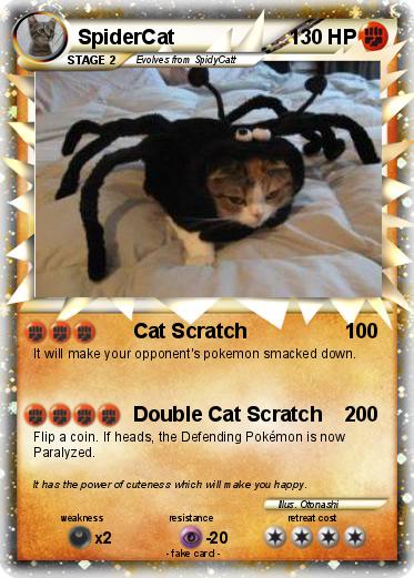 Pokemon SpiderCat