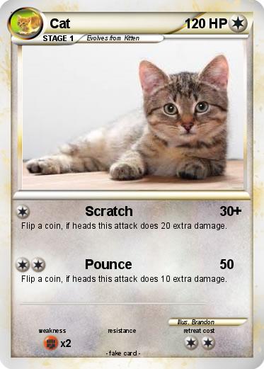 Pokemon Cat