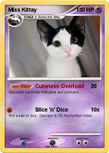 Pokemon Miss Kittay