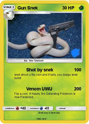 Pokemon Gun Snek