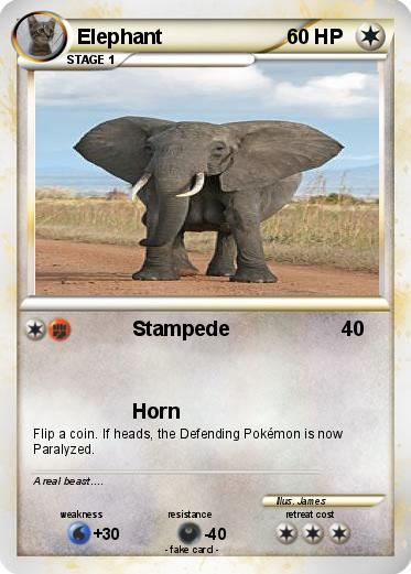 Pokemon Elephant