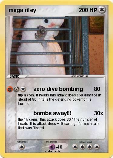 Pokemon mega riley