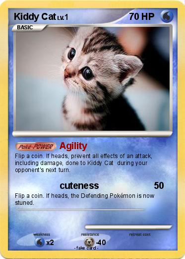 Pokemon Kiddy Cat