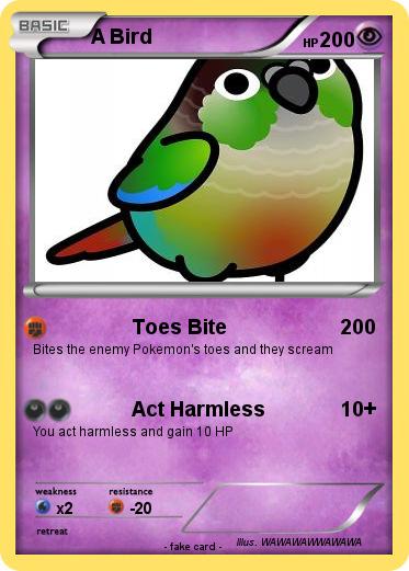Pokemon A Bird