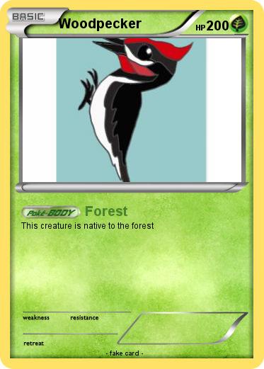 Pokemon Woodpecker
