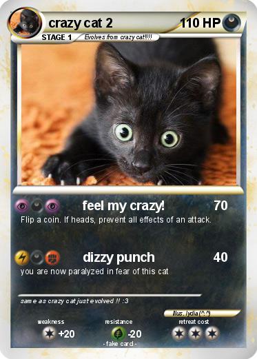 Pokemon crazy cat 2