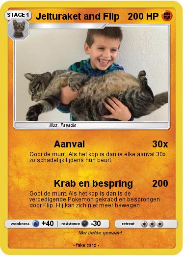 Pokemon Jelturaket and Flip